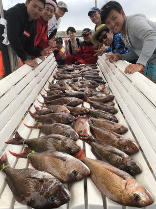 淡路島 釣り船 鯛釣り爆釣