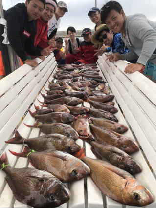 淡路島　釣り船　鯛釣り爆釣