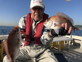 淡路島 釣り船 真鯛 鯛サビキ 真蛸 蛸釣り タコ釣り