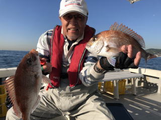 淡路島　釣り船　真鯛　鯛サビキ　真蛸　蛸釣り　タコ釣り