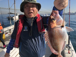 淡路島　釣り船　真鯛　鯛サビキ　真蛸　蛸釣り　タコ釣り