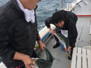 呑ませ釣り　メジロ　ブリ　青物