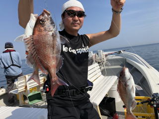 淡路島　真鯛サビキ　鯛釣り　明石鯛　爆釣り釣果