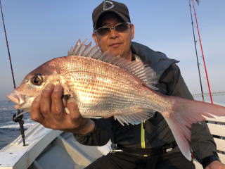 淡路島　真鯛サビキ　鯛釣り　明石鯛　爆釣り釣果