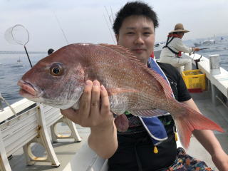 淡路島　真鯛サビキ　鯛釣り　明石鯛　爆釣り釣果