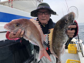 淡路島　真鯛サビキ　鯛釣り　明石鯛