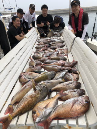 淡路島 真鯛サビキ 鯛釣り 明石鯛 爆釣り釣果