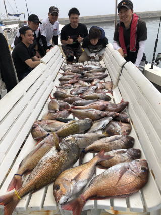 淡路島　真鯛サビキ　鯛釣り　明石鯛　爆釣り釣果