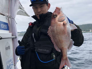 淡路島　釣り船　真鯛釣り　タコ釣り