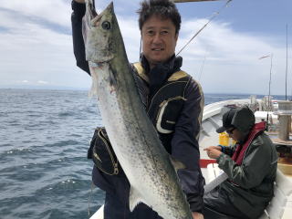 淡路島 釣り船 サワラ 真鯛釣り タコ釣り 爆釣り釣果