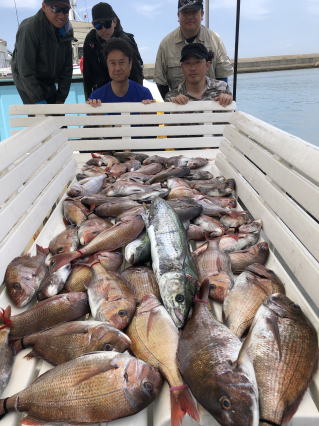 淡路島　釣り船　真鯛釣り　タコ釣り　爆釣り釣果