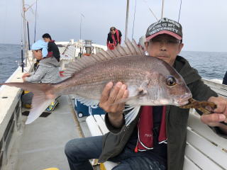 淡路島 釣り船 鯛釣り 鯛サビキ 明石鯛
