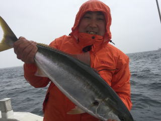 活きイカ 呑ませ釣り