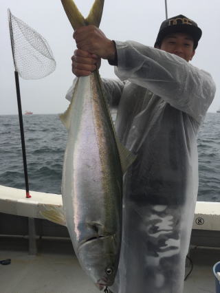 活きイカ 呑ませ釣りブリ鰤