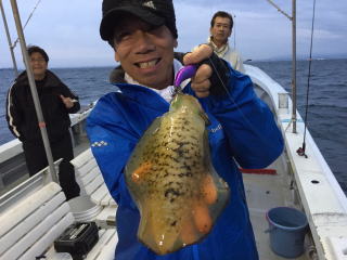 アオリイカ狙い ティップラン