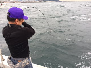 活き餌イカで呑ませ釣り