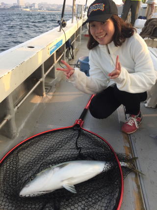 イカ呑ませ ブリ 鰤