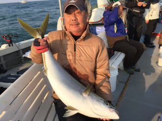 イカ呑ませ ブリ 鰤