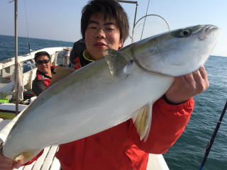 イカ呑ませ ブリ 鰤