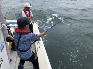 呑ませ釣り　青物　ブリ　メジロ　ハマチ　爆釣り