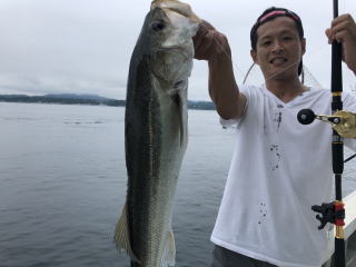 喰わせサビキ　落とし込み　イワシの泳がせ釣り