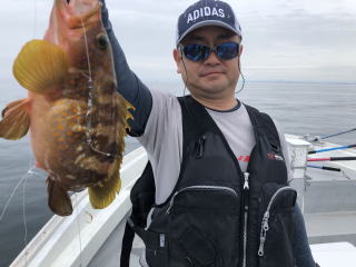 喰わせサビキ　落とし込み　イワシの泳がせ釣り