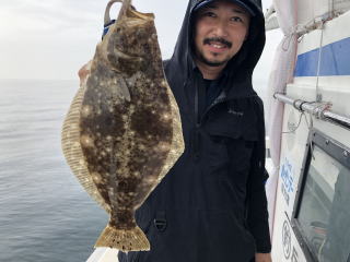 喰わせサビキ 落とし込み イワシの泳がせ釣り