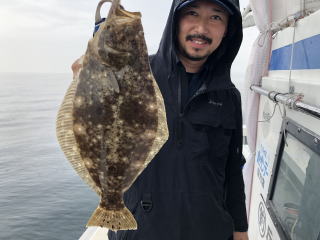 喰わせサビキ　落とし込み　イワシの泳がせ釣り