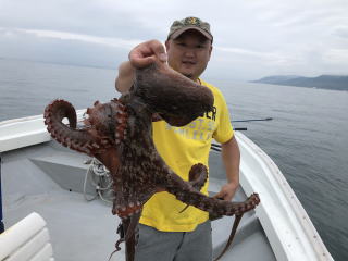 淡路島　釣り船　明石ダコ　蛸エギ　爆釣り