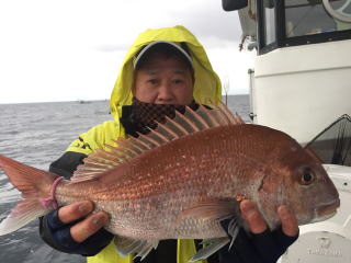 真鯛サビキ釣り