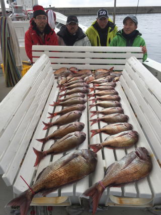 真鯛サビキ釣り　釣果