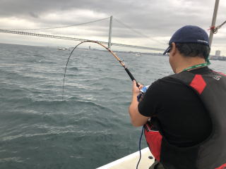 呑ませ釣り　泳がせ釣り青物　ブリ　メジロ