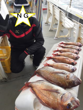 鯛サビキ 真鯛釣り