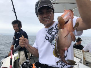 イワシの　喰わせサビキ　落とし込み釣り　アコウ