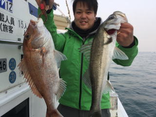真鯛釣り 鯛サビキ