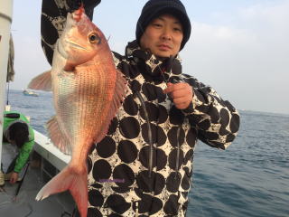 真鯛釣り　鯛サビキ