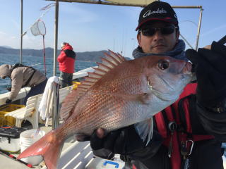 真鯛釣り 鯛サビキ