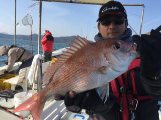 真鯛釣り　鯛サビキ