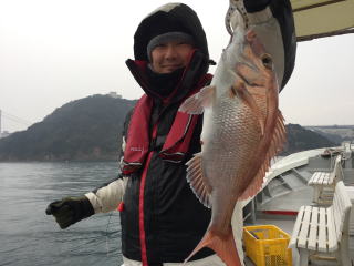 鳴門鯛　真鯛サビキ釣り