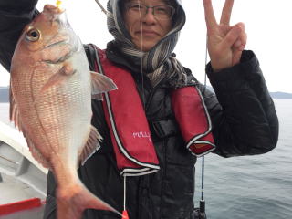 鳴門鯛　真鯛サビキ釣り