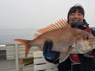 鳴門鯛　真鯛サビキ釣り