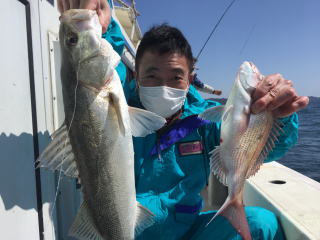 鯛サビキ 真鯛スズキ爆釣り