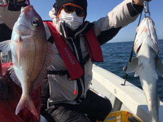 鯛サビキ　真鯛スズキ爆釣り