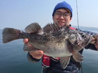 ソイ釣り　鳴門海峡