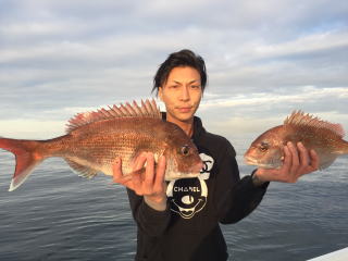 明石鯛二連　鯛釣り　鯛サビキ