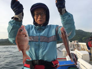 鯛釣り　明石海峡　明石鯛