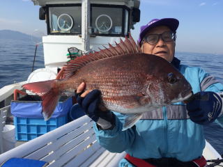 たいサビキ釣り 鯛釣り