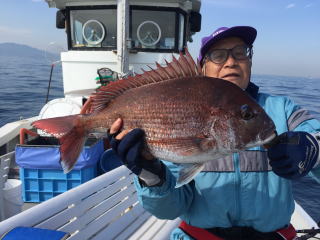 たいサビキ釣り　鯛釣り