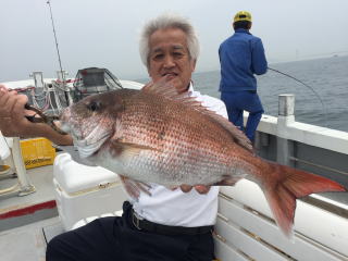 真鯛釣り爆釣り　鯛サビキ　明石鯛