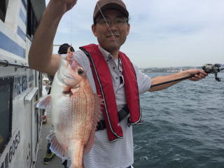 鯛サビキ　明石鯛　鯛釣り